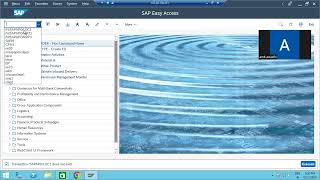 SAP PP Master Data Transfer from S4HANA to PPDSIBPEWM Part 02 [upl. by Rehpatsirhc]