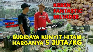 VIRAL  BUDIDAYA KUNYIT HITAM SAMPAI HARGA 5 JUTA PERKILO  JURAGAN LAHAN [upl. by Rehpatsirhc]