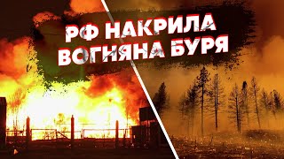 7 хвилин тому ГІГАНТСЬКА ПОЖЕЖА у РФ У Москві ЕВАКУАЦІЯ Закрили АЕРОПОРТ Палають КІЛОМЕТРИ ЛІСУ [upl. by Kcirrez]