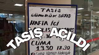 TASİŞ Gümrük malları yeni yerinde açıldıNeler var fiyatlar nasıl [upl. by Nnylesor437]