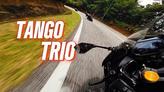 ZX25R Trio ft KTM Duke 790 amp Ninja 250  4K [upl. by Lashondra]