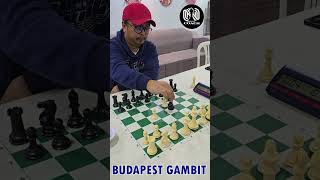 QUEEN TRAP  Budapest Gambit [upl. by Hellene]