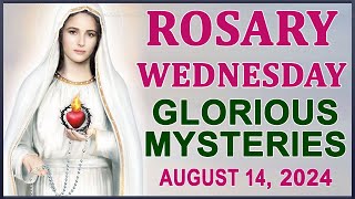 The Rosary Today I Wednesday I August 14 2024 I The Holy Rosary I Glorious Mysteries [upl. by Camile]