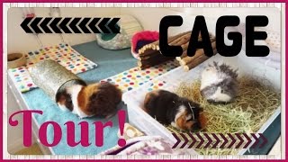 Cage Tour and Pet Room Updates April 2017 Squeak Dreams [upl. by Girish473]