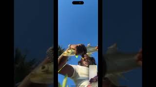 Caught a Lady Fish On FaceTime ladyfish snooker ocean sea shorts fypyoutube subscribe face [upl. by Allisan242]