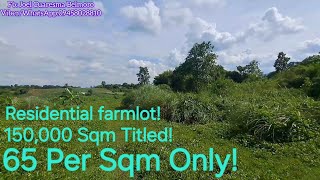 vlog 628 Residential Farmlot 65 per Sqm onlywith Riceland and Pasture land [upl. by Kendricks]