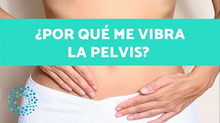 ¿VIBRACIONES en la PELVIS  Posibles causas y cómo SOLUCIONARLO [upl. by Garmaise]