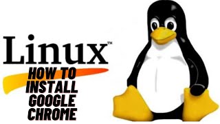 How to install Google Chrome in Ubuntu 2004 Linux [upl. by Francie]