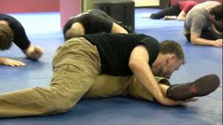 Ground Flow Class Part 3 Arm and Leg Strengthening [upl. by Alihet]