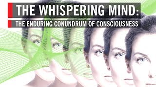 The Whispering Mind The Enduring Conundrum of Consciousness [upl. by Alolomo]