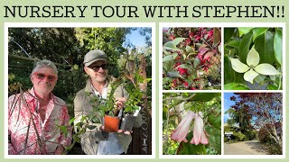 Nursery tour Stephens nursery Dicksonia Rare Plants [upl. by Yrok15]