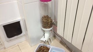 DISPENSADOR DE COMIDA CASERO amp FEEDER FOR PETS AUTOMATIC PART 2 [upl. by Yotal139]