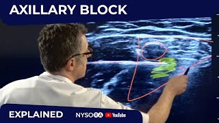 Axillary Brachial Plexus Block  Regional anesthesia Crash course with Dr Hadzic [upl. by Elnora]