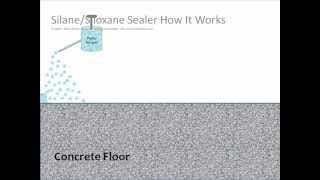 How Does a SilaneSiloxane Concrete Sealer Work Video  SealGreencom  8009973873 [upl. by Oehsen563]