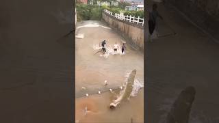 fishing flood river water amazingfishing [upl. by Meekah]