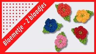 Haakpatroon  Bloem  Bloemetje met 2 blaadjes [upl. by Minna]