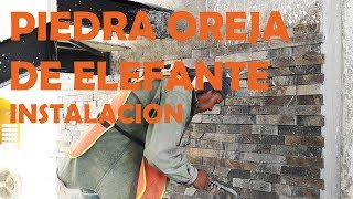 PIEDRA LAJA OREJA DE ELEFANTE  👷‍♂️ INSTALACION [upl. by Oab887]