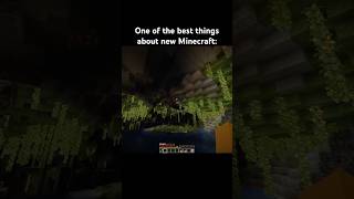 Cave elytra minecraft minecraftshorts minecraftmemes shorts funny memes gaming meme fyp [upl. by Aytnahs]