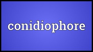 Conidiophore Meaning [upl. by Dlorad]