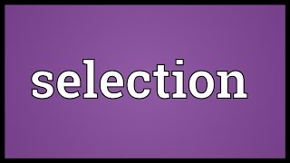 Selection Meaning [upl. by Woods]