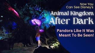 Animal Kingdom After Dark  See Pandora after dark [upl. by Carpet422]