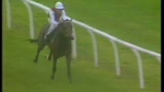 1992 Maxims Club Derby Trial Stakes [upl. by Assin]