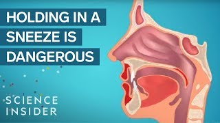 Is Holding In A Sneeze Actually Unhealthy [upl. by Chrissa575]