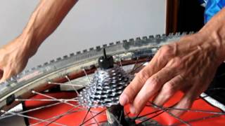 🛠 Cómo DESMONTAR CASSETTE de piñones Shimano XT de una bicicleta de montaña [upl. by Ativak614]