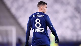 Hatem Ben Arfa 2021  Best Skills Passes amp Goals [upl. by Ive]