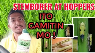 Insecticide para sa Stemborer Mango Hoppers Brown planthopper Green leafhopper  Vessel Ultra [upl. by Niuq59]