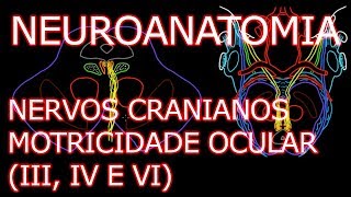 Aula Neuroanatomia  Nervos Oculomotor III Troclear IV e Abducente VI  Neuroanatomia 63 [upl. by Aiuqcaj]