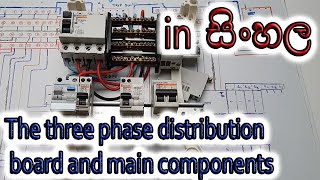 The three phase distribution board and main components in Sinhala [upl. by Lacym]