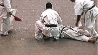 karate CHIEFEC KYOKUSHIN vs SHOTOKAN combate completowmv [upl. by Virgin]