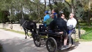 Tour delle Masserie in Carrozza a Crispiano Taranto Puglia [upl. by Aninay]