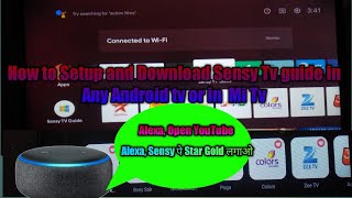 How to Setup amp Download Sensy Tv Guide in Mi Tv or Any Android tv [upl. by Enreval]