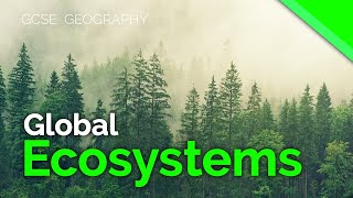 Global Ecosystems  Biomes  AQA GCSE 91 Geography [upl. by Menard459]