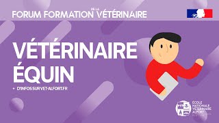 Conférence FFVET24  Vétérinaire équin [upl. by Aihcela277]