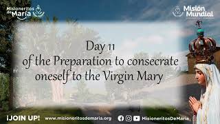 Day 11 Consecration to Jesus through Our Lady of Guadalupe [upl. by Icam]