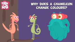 Why does a Chameleon change colors  The Dr Binocs Show  Educational Videos For Kids [upl. by Ahtram]