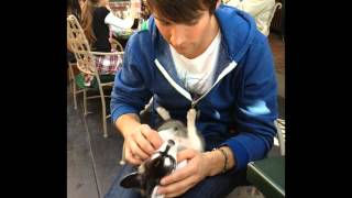 JAMES MASLOW and his dog FOX [upl. by Magan]