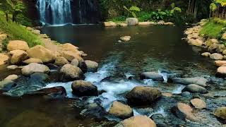 ASMR Relaxing River Sound Forest waterfalls are relaxing relieve stress help meditation and Yoga [upl. by Espy]