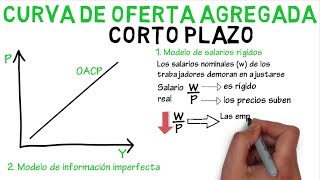 Curva de oferta agregada a corto plazo  Cap 34  Macroeconomía [upl. by Elacsap772]