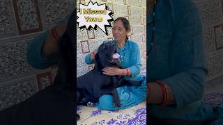 Indian Moms Who Doesnt Want a Dog doglover lucky [upl. by Abbie]