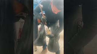 swfarrier farrier horse farriersoftiktok shoeing nailing BurberryTB foryoupage [upl. by Donela]