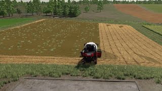 Zielonka  Timelapse 14  Fs22 [upl. by Ahsiena158]