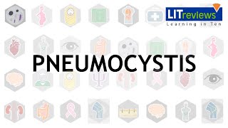 Pneumocystis [upl. by Ecnerwal]