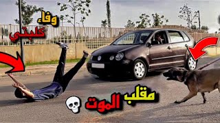 درباتني سيارت 🚘امام كلبتي 🐕ردت فعل ديالها بغات تحماق 😭مقلب [upl. by Meg548]