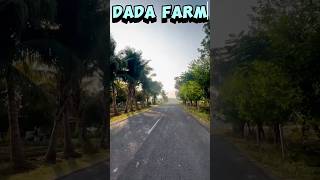 DADA FARM 📍THASRA farmhouse thasra vlog trending viralvideo [upl. by Reginauld]