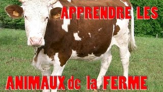 APPRENDRE les Sons d ANIMAUX de la FERME et leurs CRIS pour les ENFANTS Bruit pour les BÉBÉS [upl. by Jaal383]