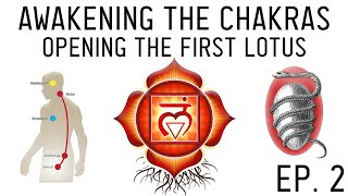 How to Awaken the Chakras Activate the Muladhara Root Chakra Ep 2 [upl. by Mavilia]